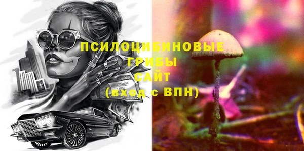 PSILOCYBIN Абдулино