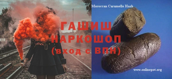 СК Алексин