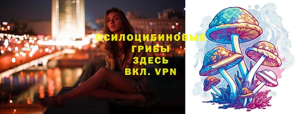 шишки Арсеньев