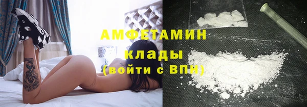 СК Алексин